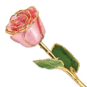 GOLD DIPPED PINK PEARL ROSE