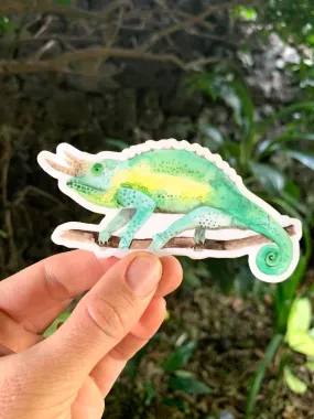 Jackson Chameleon Sticker