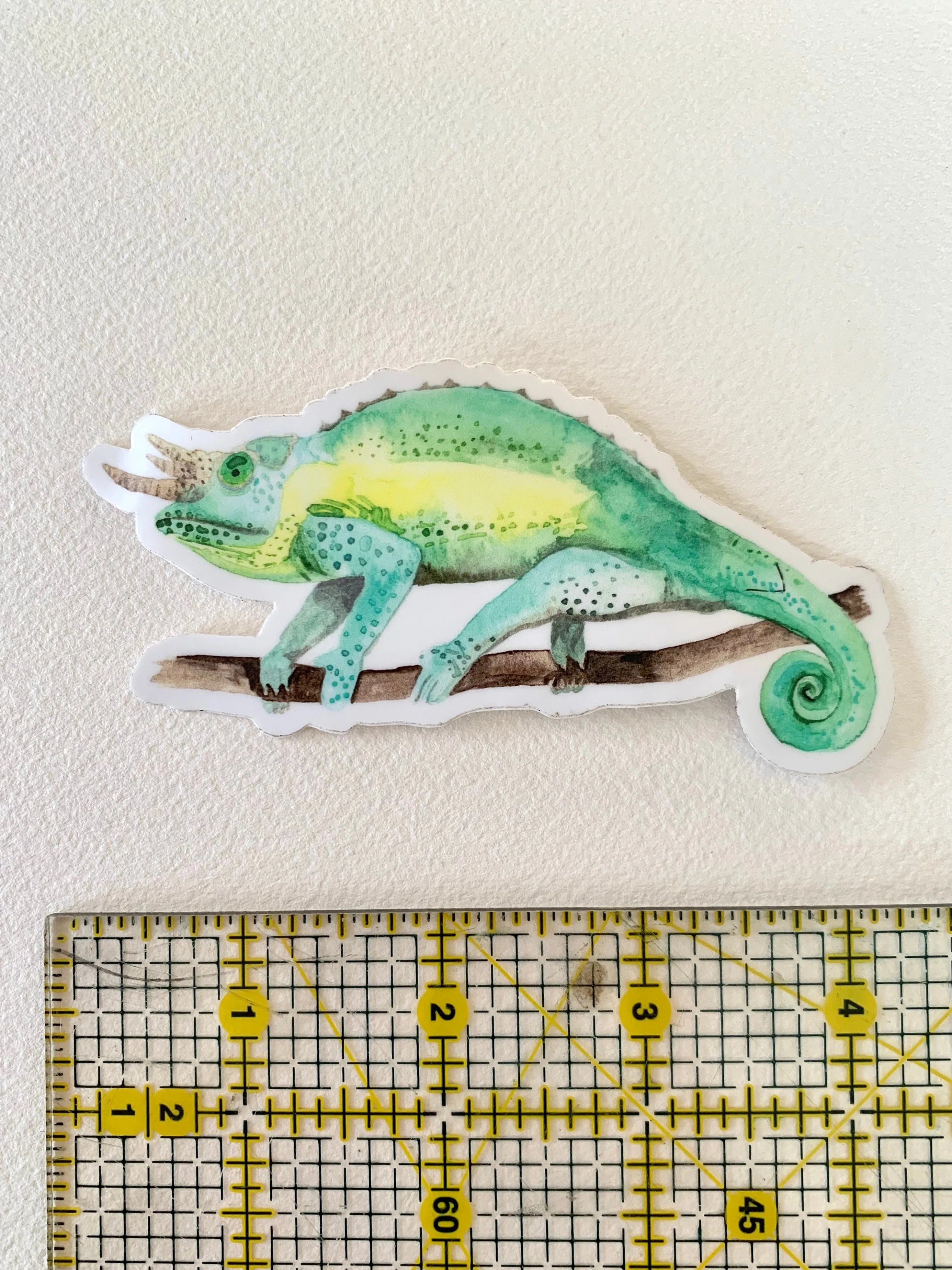 Jackson Chameleon Sticker