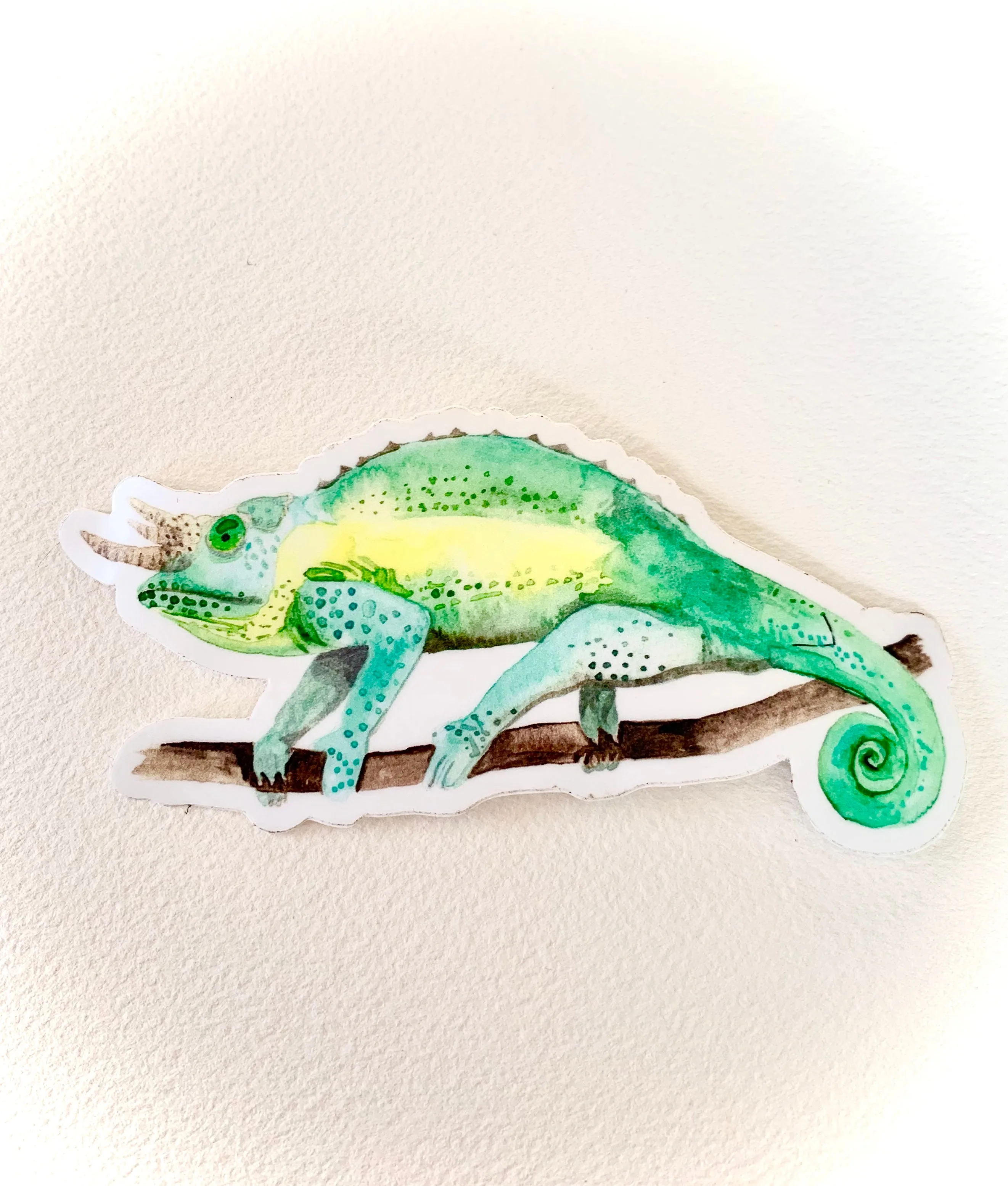 Jackson Chameleon Sticker