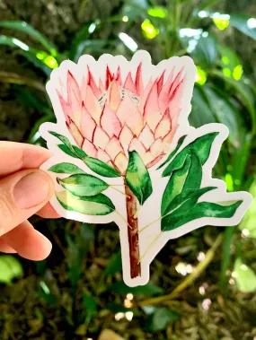 Protea sticker