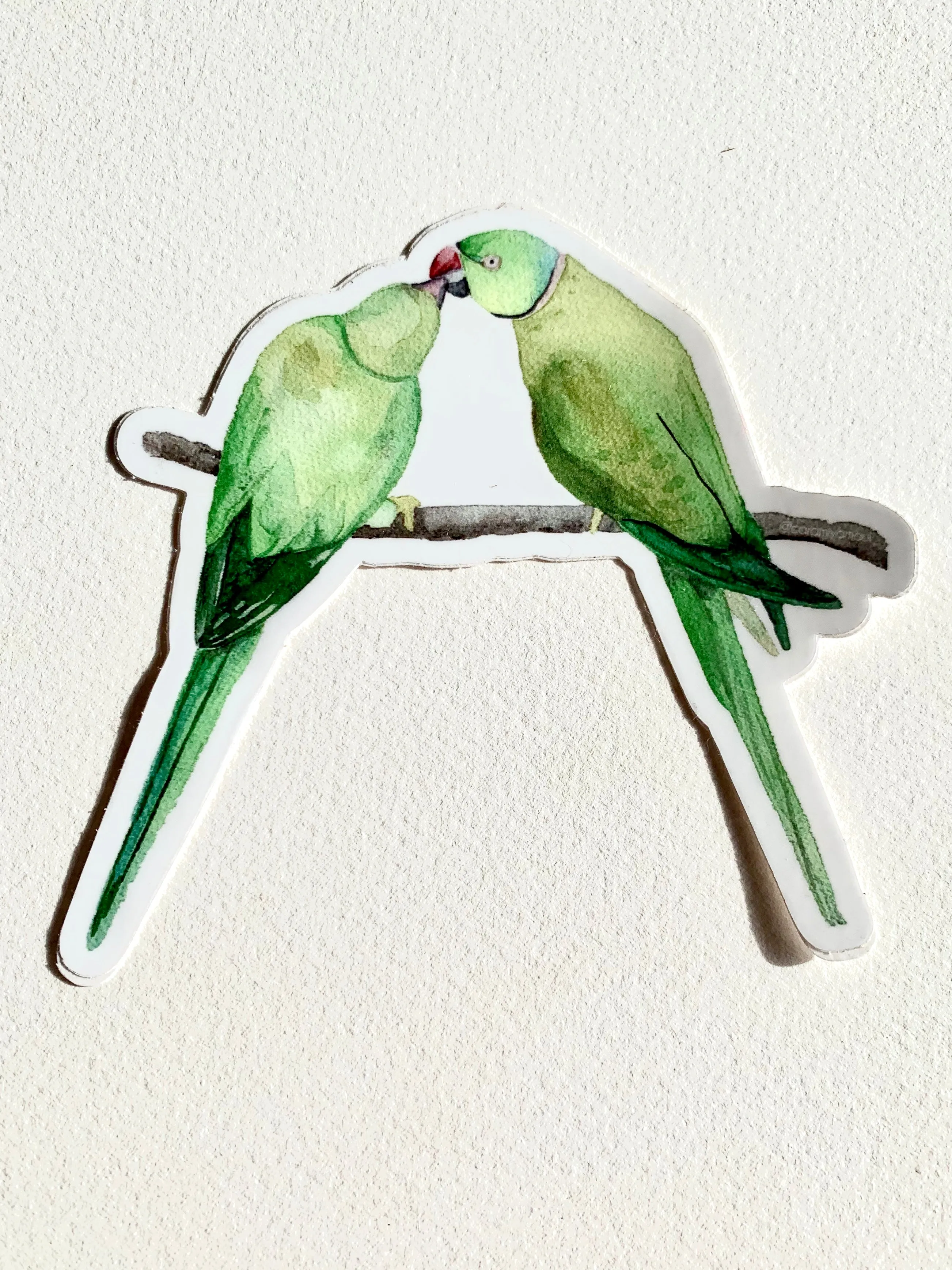 Ring Neck Parakeet Sticker